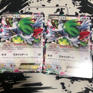 シェイミEX 二枚