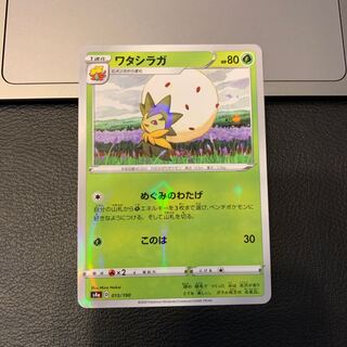 ワタシラガ(キラ)