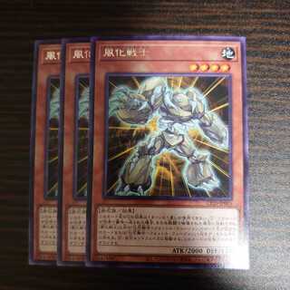 風化戦士　レア　３枚セット　ウェザリングソルジャー　