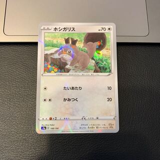 ホシガリス(キラ)