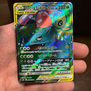 セレビィ＆フシギバナGX SR