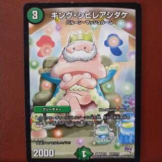 セット割引　キング・シビレアシダケ