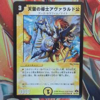 天雷の導士アヴァラルド公