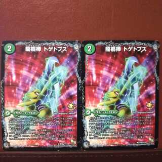 セット割引　龍棍棒 トゲトプス｜多角類衝撃目 ブッツブ・トプス