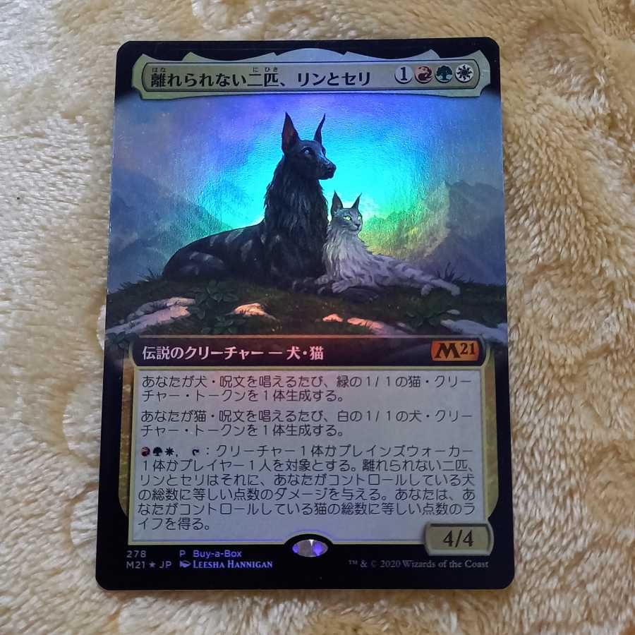 離れられない二匹、リンとセリ (日本語)foil