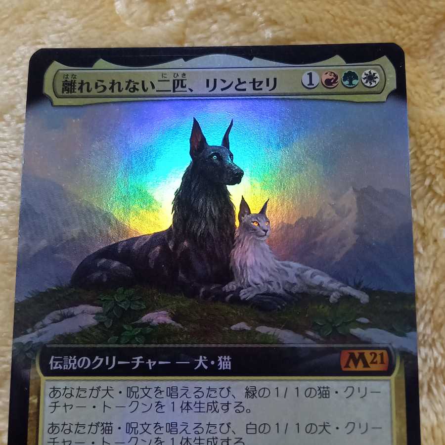 離れられない二匹、リンとセリ (日本語)foil