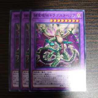 捕食植物ドラゴスタペリア ノーマル　3枚セット