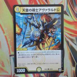 天雷の導士アヴァラルド公