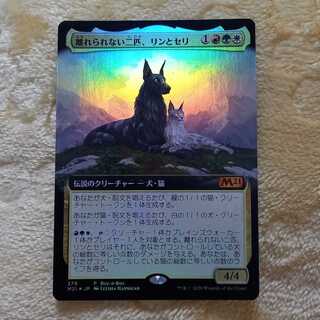 離れられない二匹、リンとセリ (日本語)foil