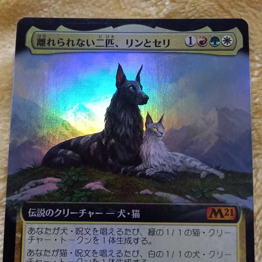 離れられない二匹、リンとセリ (日本語)foil