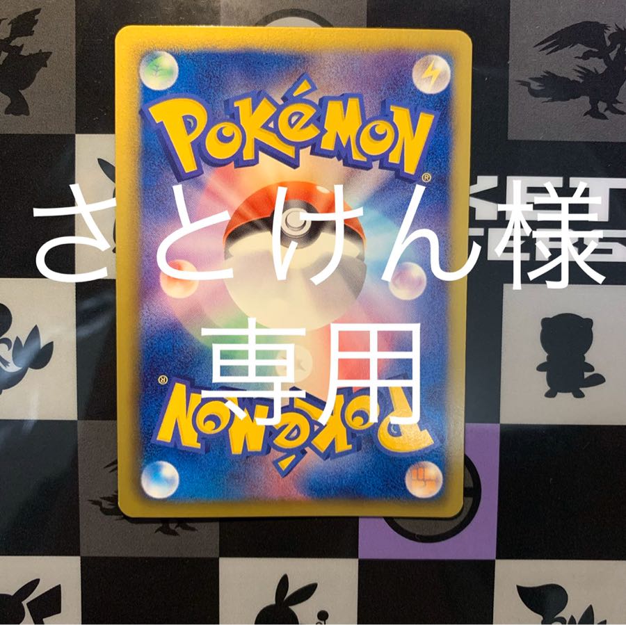 さとけん様専用