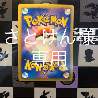 さとけん様専用