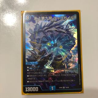 水上第九院　シャコガイル