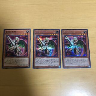 薔薇の聖騎士　N1 シク2