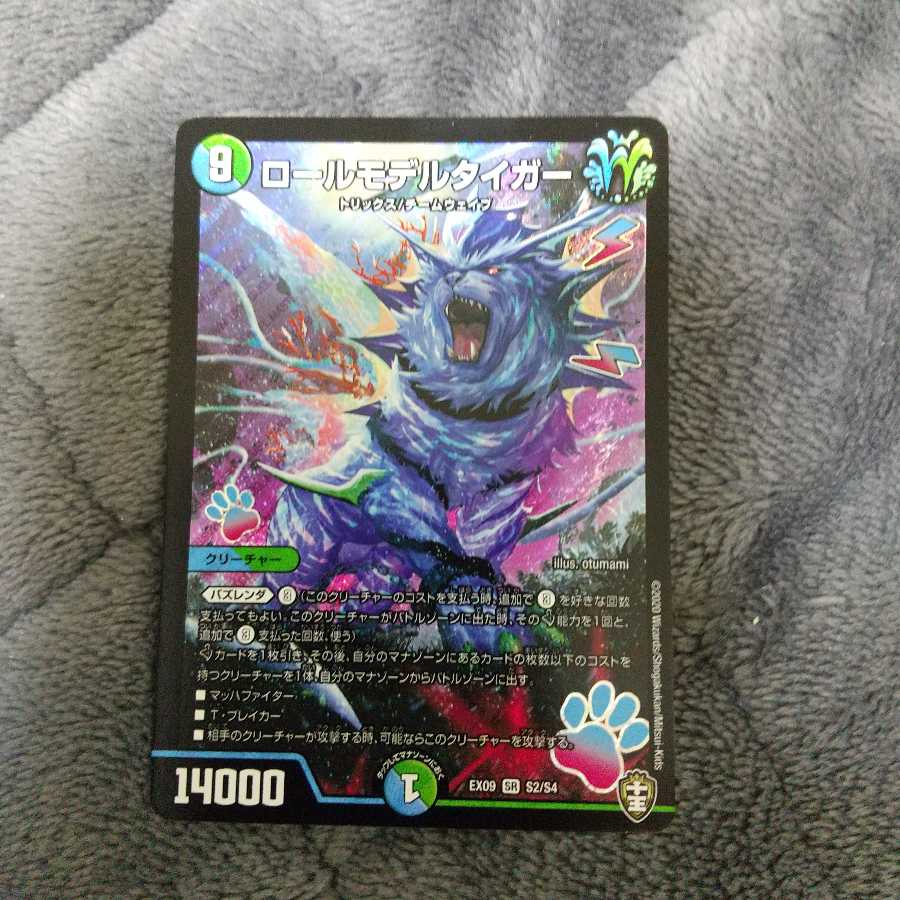 ロールモデルタイガー SR