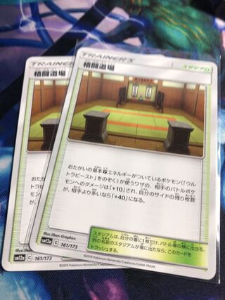 2 Pokemon Cards Martial Arts Dojo