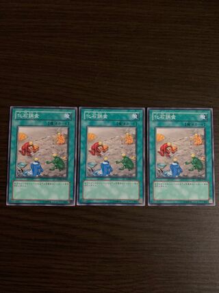 化石調査 ノーマル3枚セット