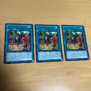 アマゾネスの里　レア