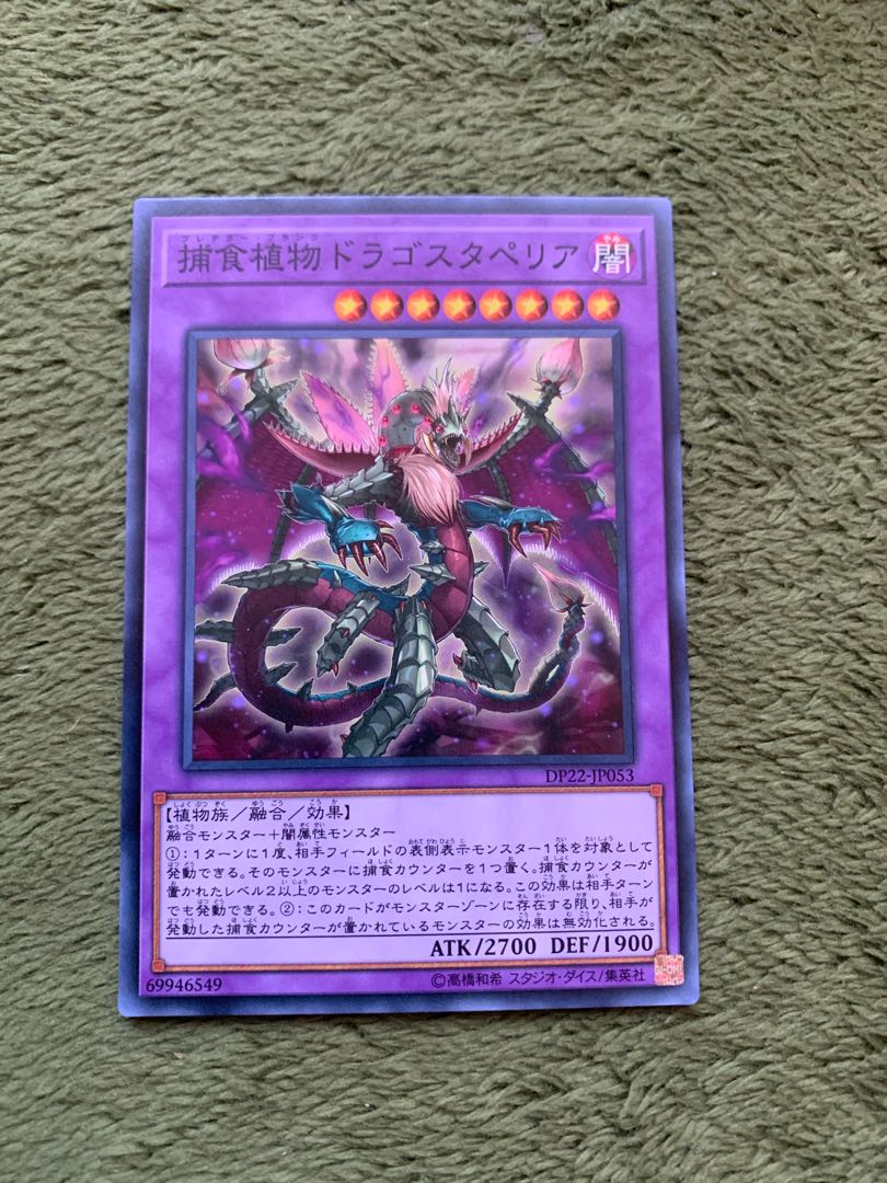 捕食植物ドラゴスタペリア ノーマル