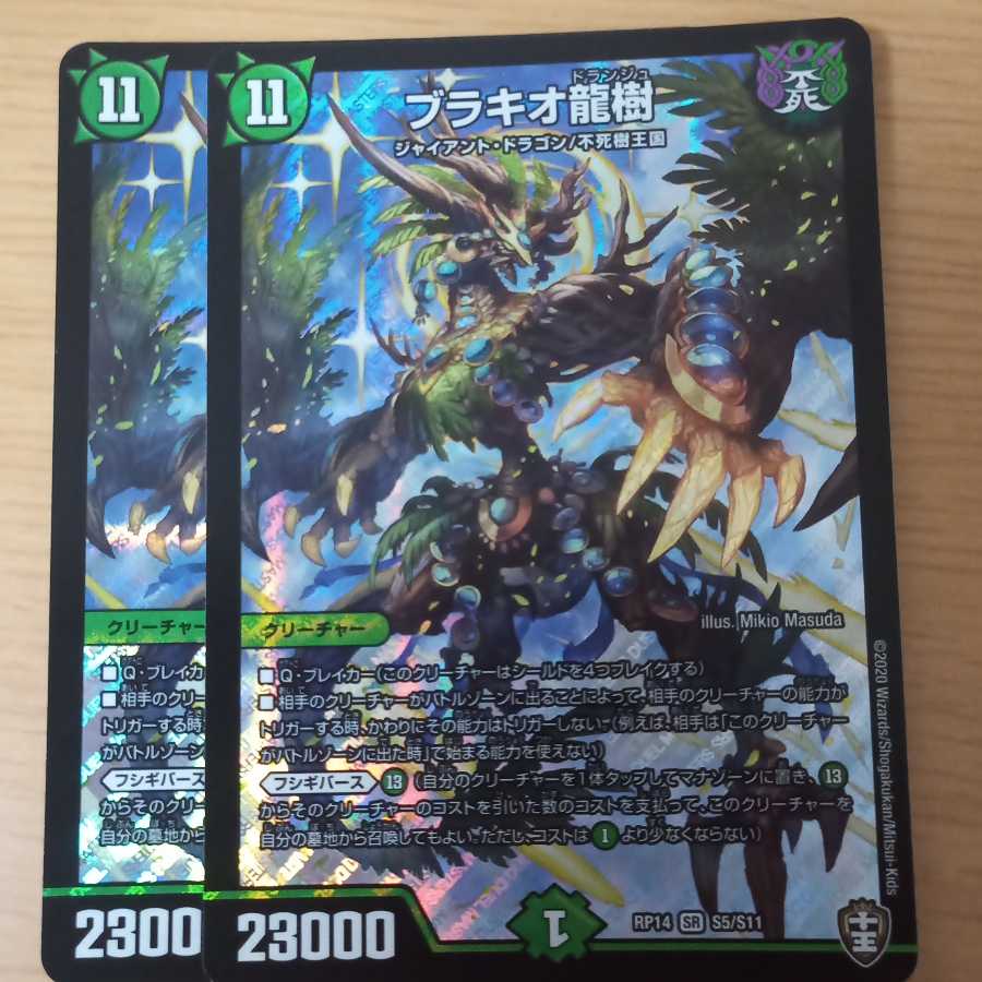 ブラキオ龍樹　２枚