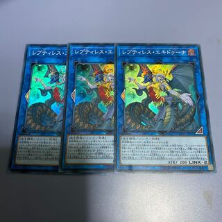 レプティレス・エキドゥーナ　3枚