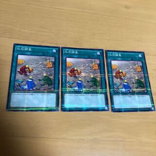 化石調査　ノーパラ