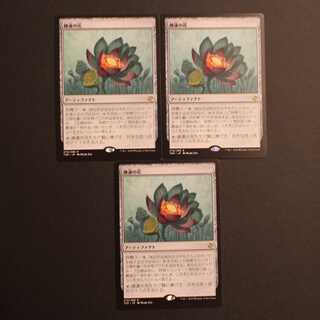 TSR【睡蓮の花】日本語 3枚セット