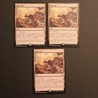 TSR【群がりの庭】日本語 3枚セット