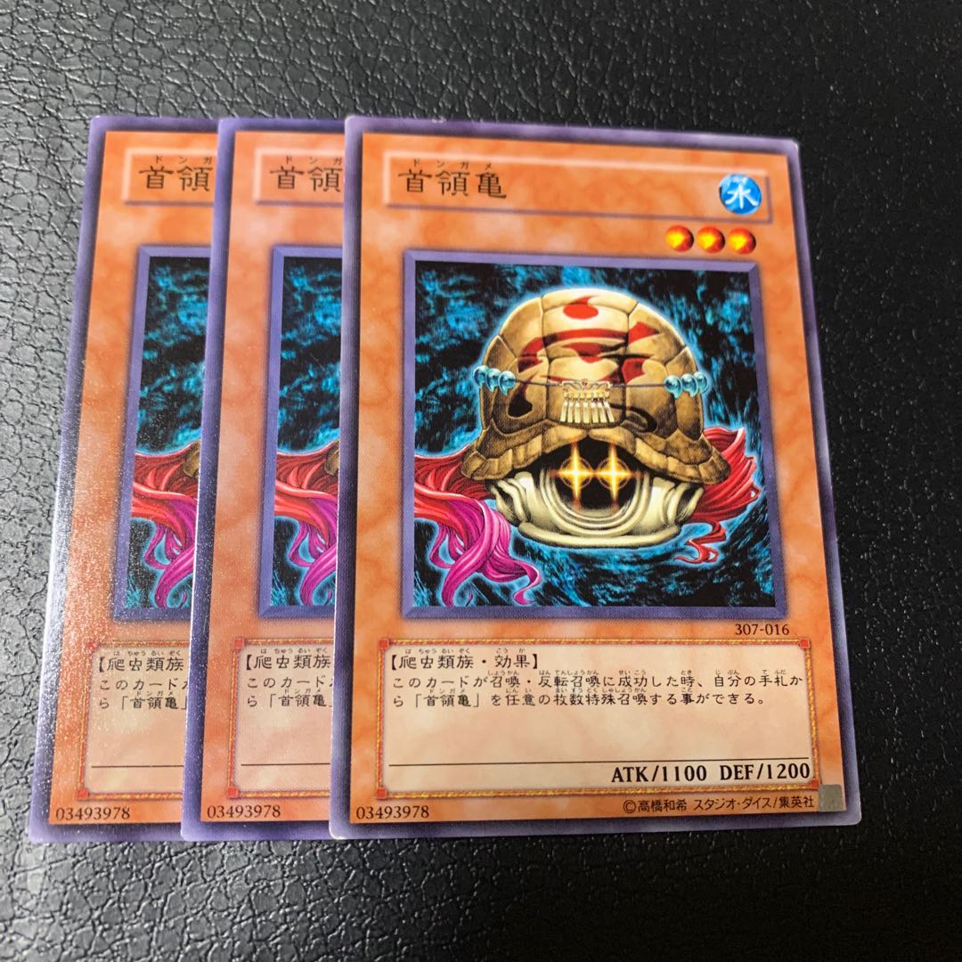 首領亀 ノーマル