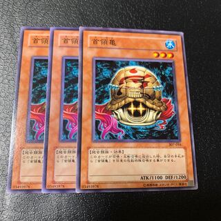 首領亀 ノーマル