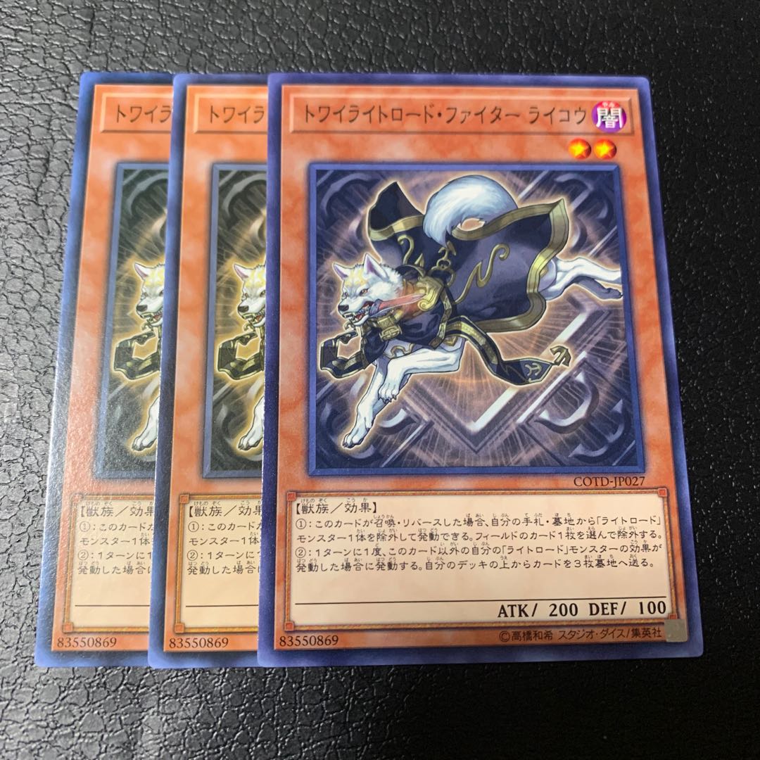 トワイライトロード・ファイター ライコウ ノーマル