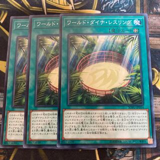 マドレース2744ワールド・ダイナ・レスリング ノーマル