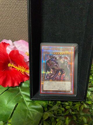 D-HERO Bloo-D プリズマ絵違い