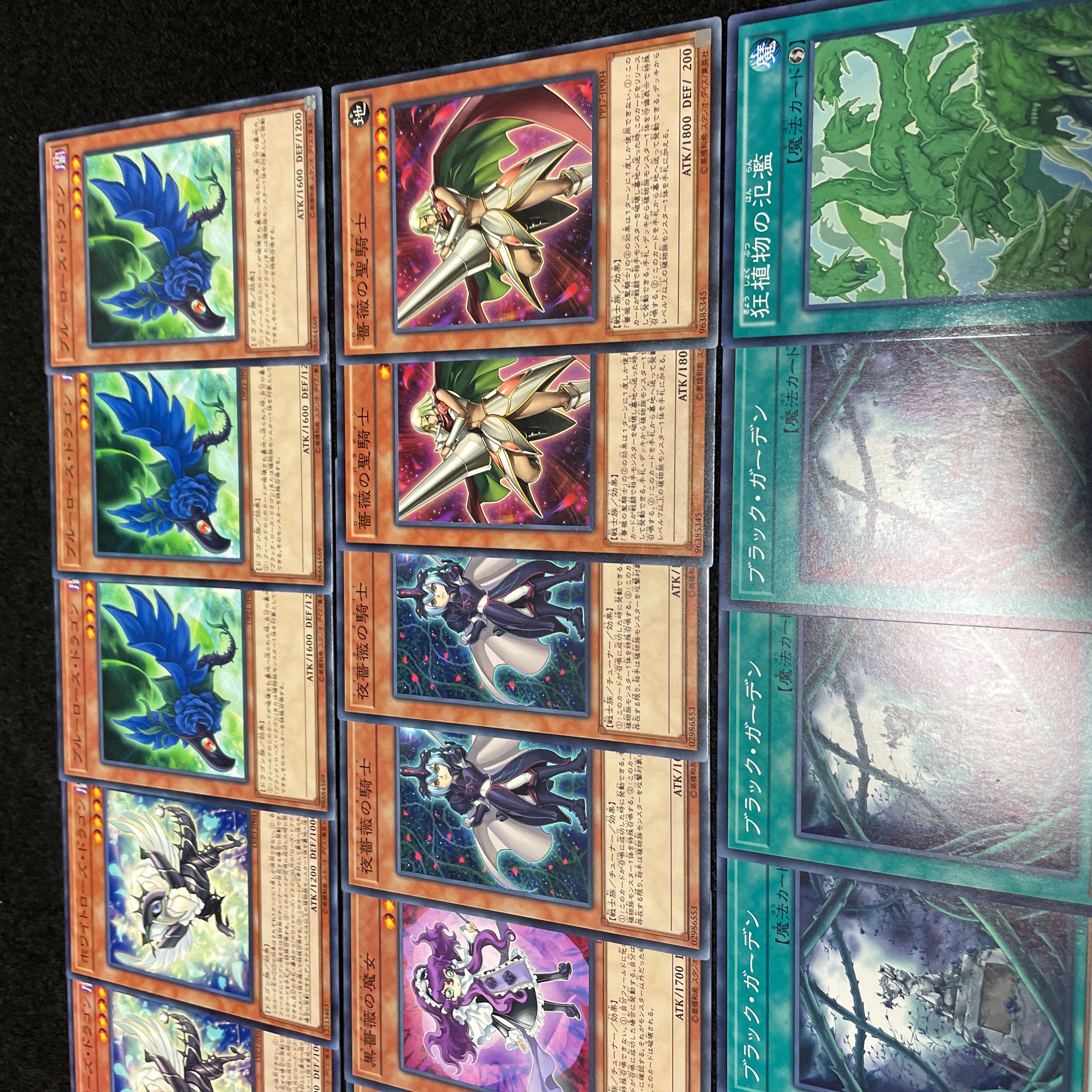 遊戯王 No.438 ローズドラゴン デッキ40枚＋15枚 ブラック