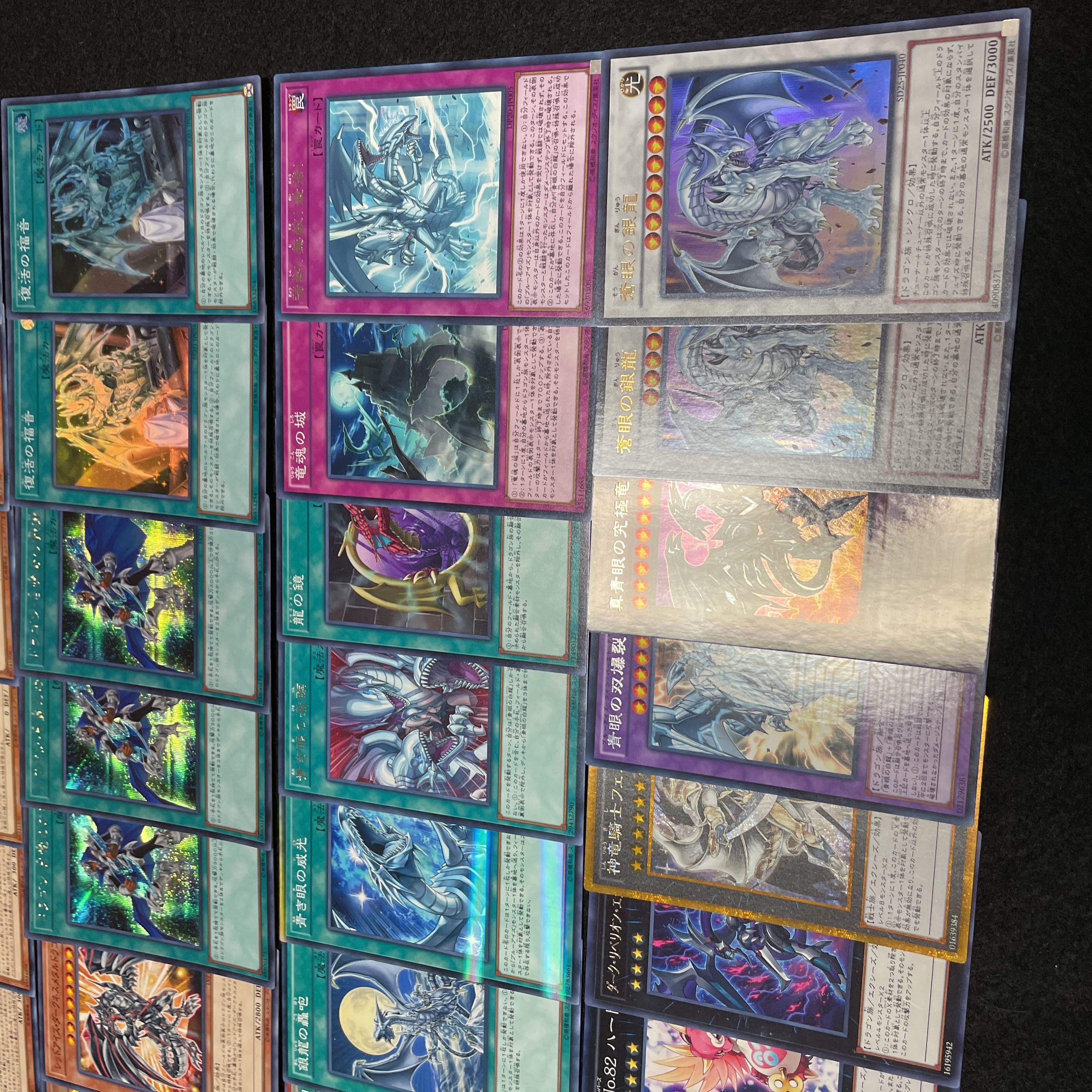 遊戯王 No.440 青眼 デッキ40枚＋15枚 青眼の白龍