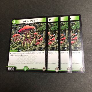 シビレアシダケ　4枚