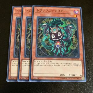 トランスファミリア ノーマル