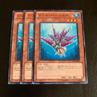 ドリル・バーニカル ノーマル 1枚