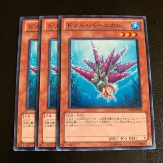 ドリル・バーニカル ノーマル 1枚