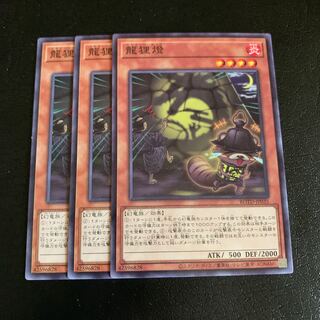 龍狸燈 ノーマルレア