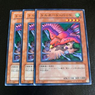 トルネード・バード ノーマル