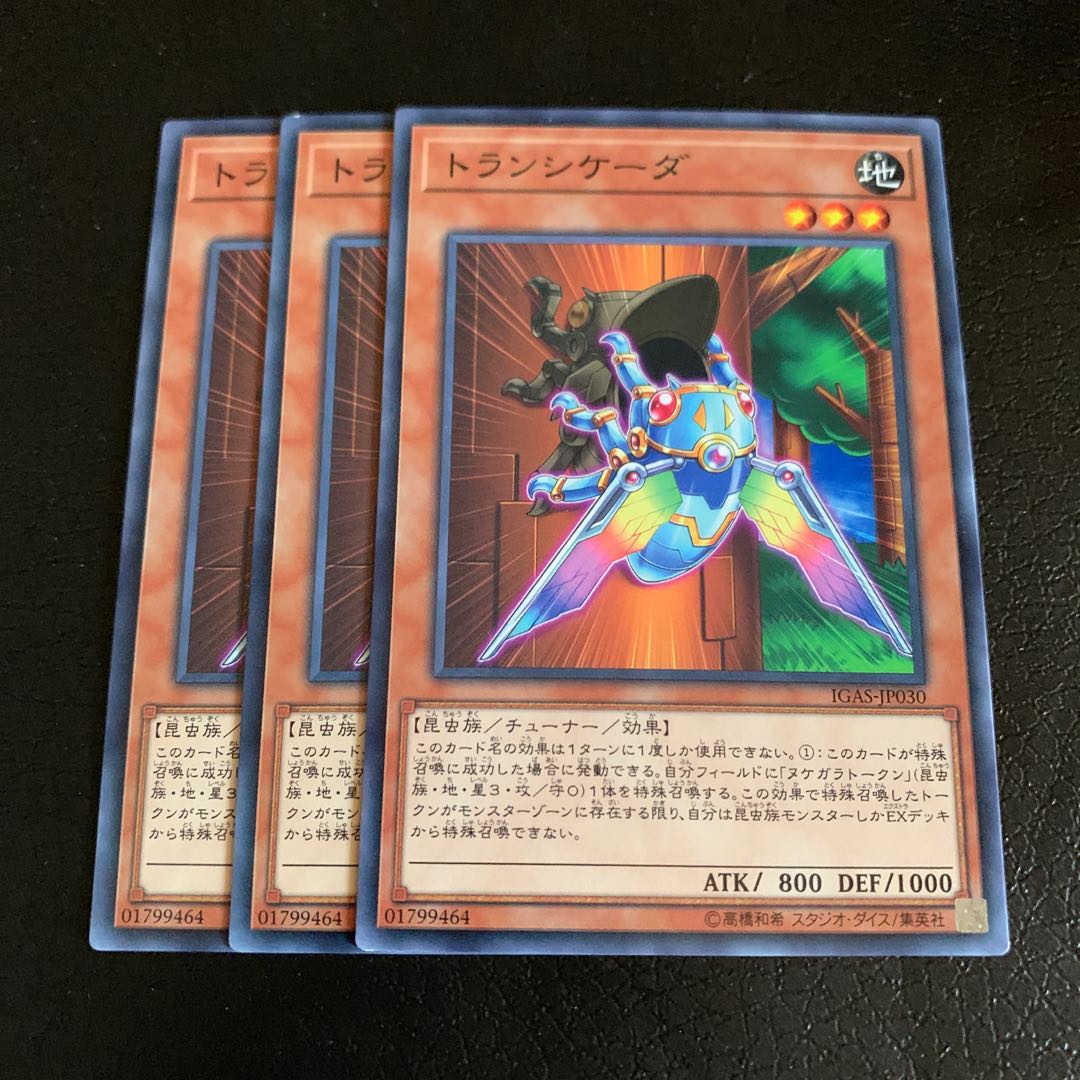 トランシケーダ ノーマル