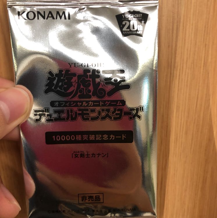 女剣士カナン 未開封