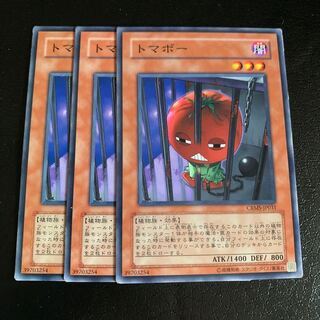 トマボー ノーマル