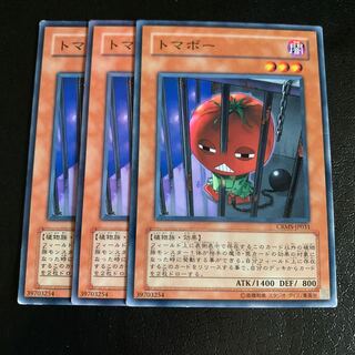 トマボー ノーマル