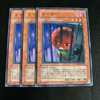 トマボー ノーマル