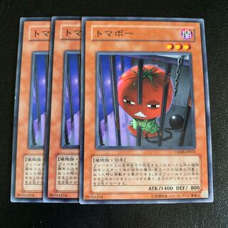 トマボー ノーマル