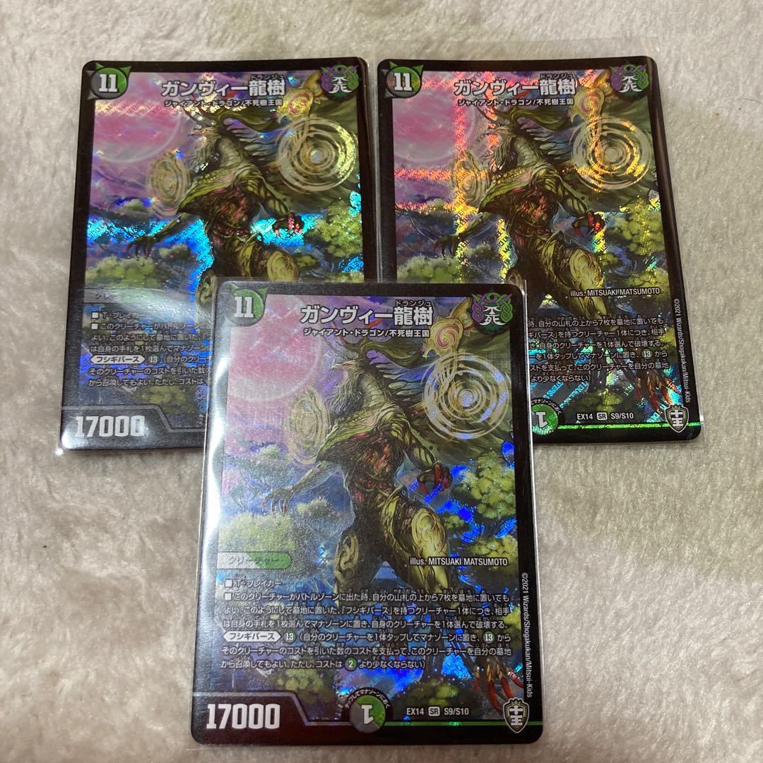 ガンヴィー龍樹