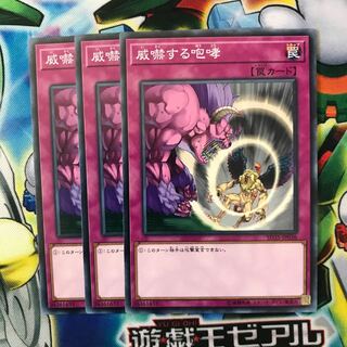 威嚇する咆哮 3枚