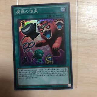 魔獣の懐柔 スーパーレア